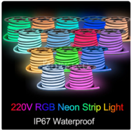 220v neon strip